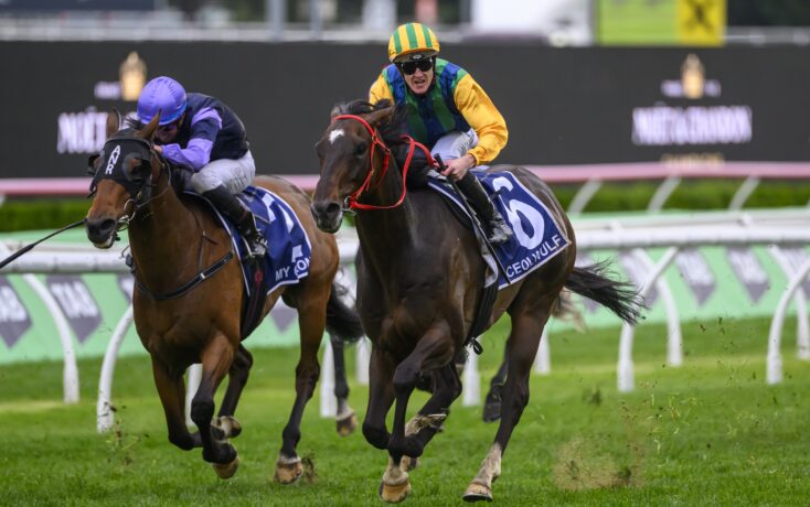 里尼奥在近 里尼奥在近