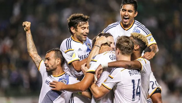 法律保护自 法律保护自